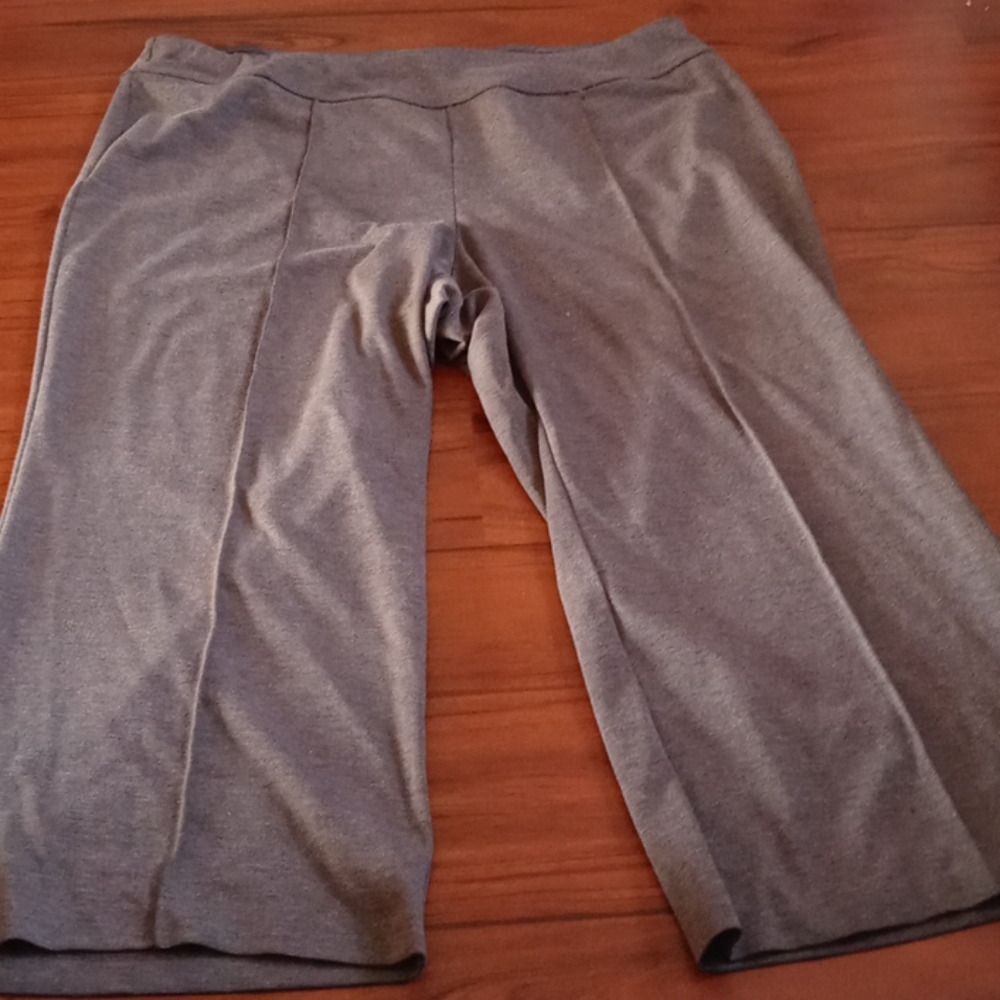 Lane Bryant Wide Leg Petite Pants 22/24